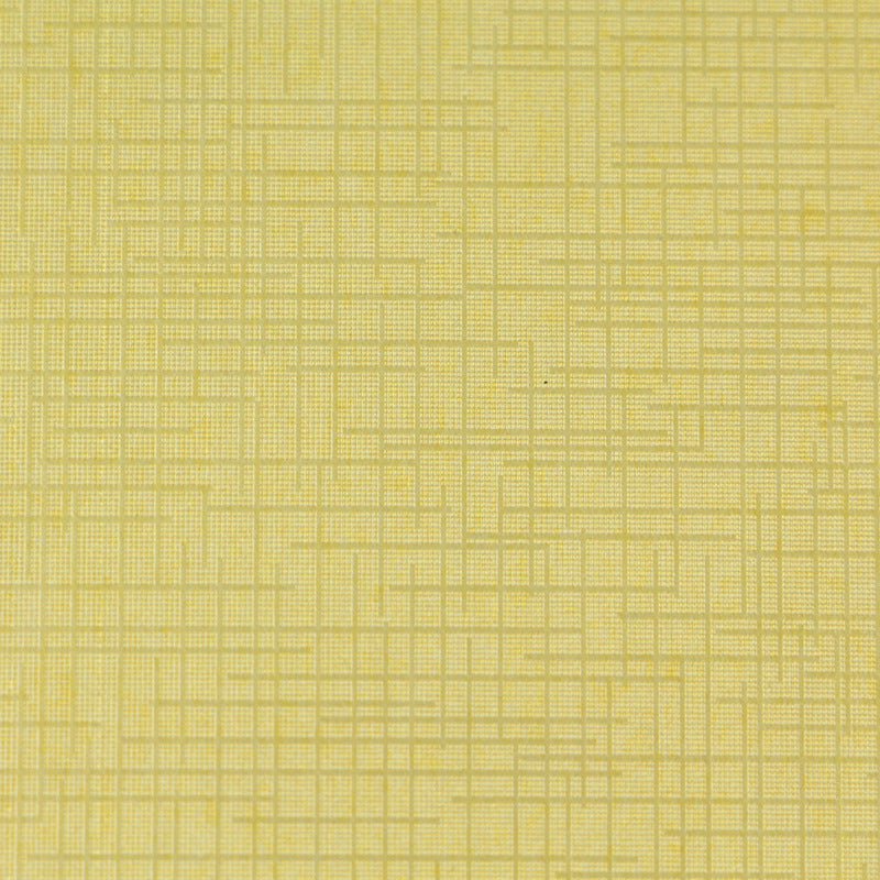 2b64c16d90329d1dc03b0866b1b26770
