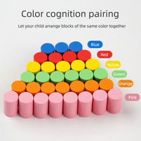 Educational Early Childhood Color Matching Children's Toys Sensory Training Building Blocks Kindergarten Teaching Aids