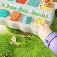 Montessori Pop up Animal Toys and Learning Boxes - Enhance Logic and Motor Skills, Suitable for Children's Birthday Gifts