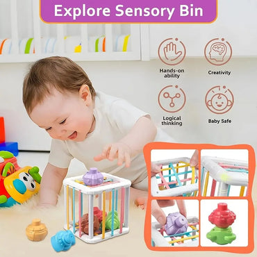 Rainbow Colorful Montessori Shape Sorter Cube Baby Infant Blocks Sorting Grip Training Cognitive Educational Learning Toy