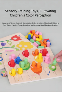 Educational Early Childhood Color Matching Children's Toys Sensory Training Building Blocks Kindergarten Teaching Aids