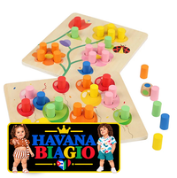 Educational Early Childhood Color Matching Children's Toys Sensory Training Building Blocks Kindergarten Teaching Aids