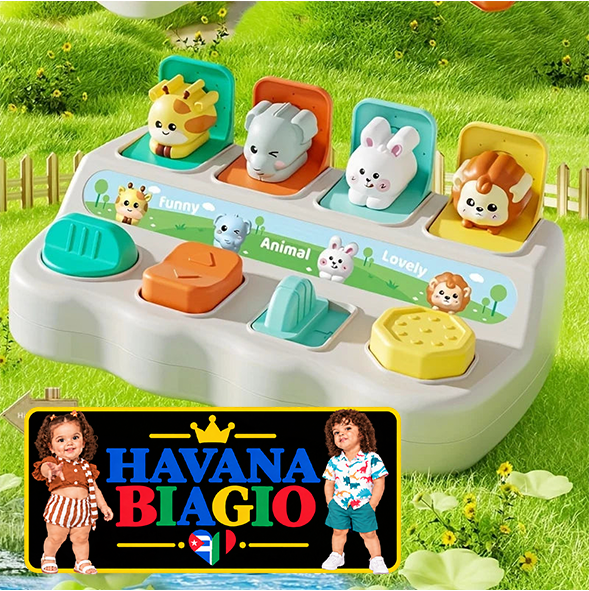 Montessori Pop up Animal Toys and Learning Boxes - Enhance Logic and Motor Skills, Suitable for Children's Birthday Gifts