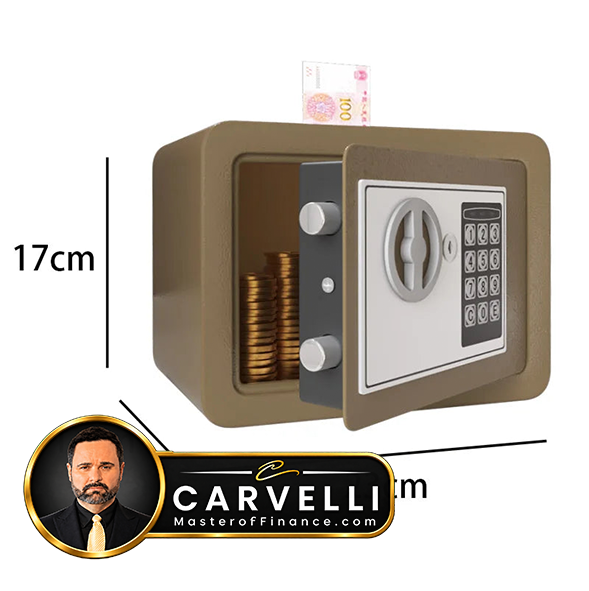0.2 Cubic Feet Electronic Digital Safe, Steel Home Cash Safe and Fireproof Cash Bag for Hiding Safe Cash